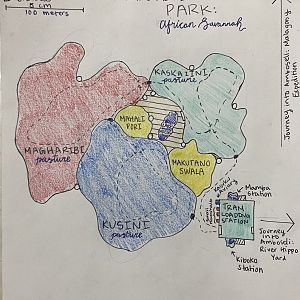 Discovery Hills Zoo - “Amboseli National Park - African Savanna