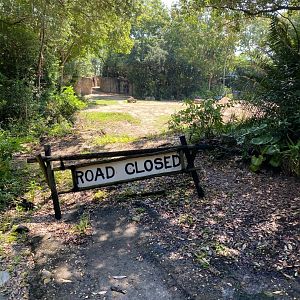 Kilimanjaro Safaris- Elephant Exhibit #1