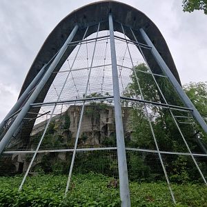 European golden eagle aviary