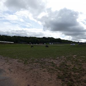 African Plains drive-through enclosure