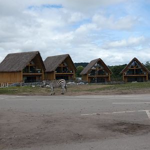 African Plains lodges
