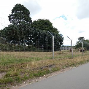 Cheetah drive-by enclosure