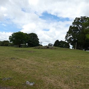 Former white tiger drive-through enclosure