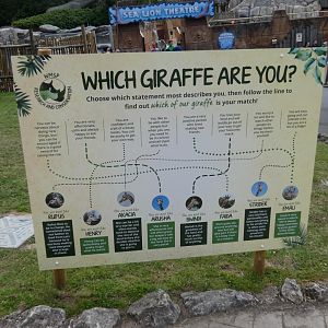 Giraffe signage