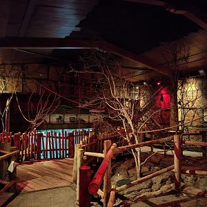 View of bat walk-through