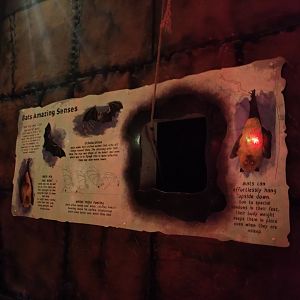 Bat walk-through signage