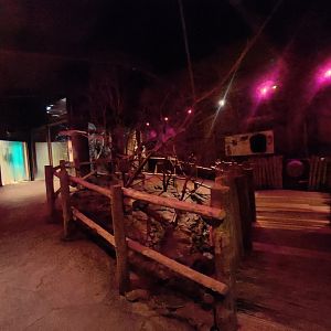 Bat walk-through enclosure