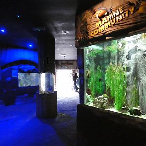 View of aquarium