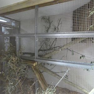Red panda indoor enclosure