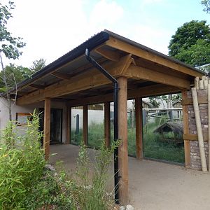 Red panda viewing area