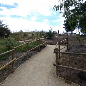 Trail up to the Elephant and Giraffe enclosures