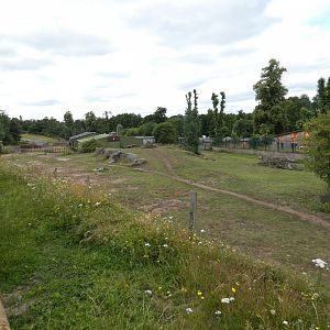Former white rhino hardstanding enclosure (holding a Grevy's zebra stallion)