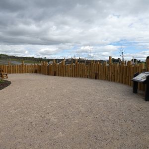 Viewing area for Giraffe and White Rhino on the African Walking Trail