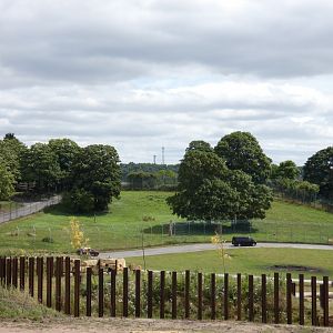 View of White tiger enclosure
