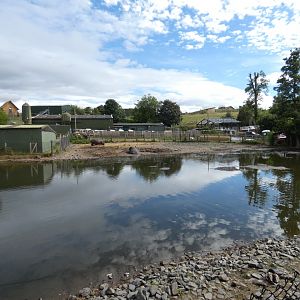 Common hippo enclosure