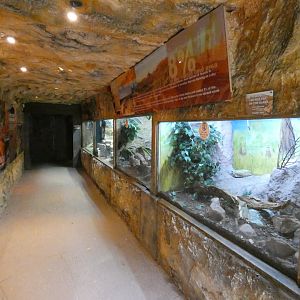 Reptile house, Arid zone