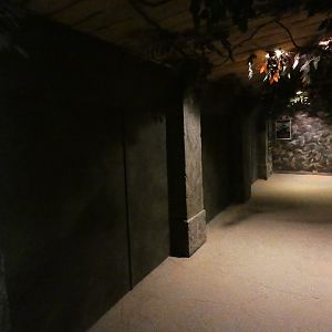 Reptile house, boarded-up former alligator enclosure