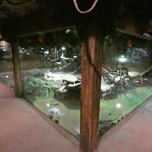 Reptile house, record breakers zone