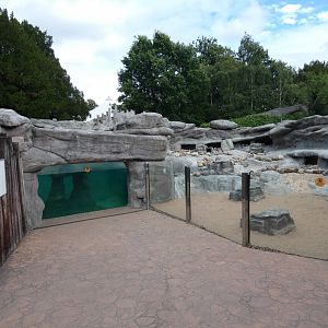 Penguin under-water viewing area and land area