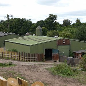 Old White rhinoceros house