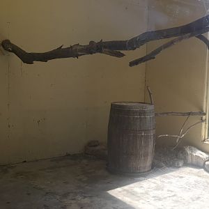 Birds of the world aviary indoors