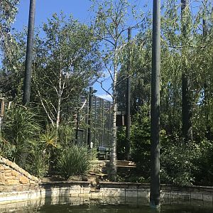 Birds of the world walkthrough aviary (2)