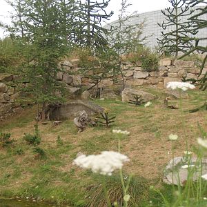 Southern pudu and Southern screamer exhibit, 2006-07-08