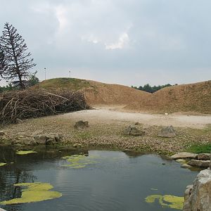 Guanaco paddock, 2006-07-08