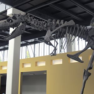Biochron - Tyrannosaurus rex skeleton, 2006-07-08