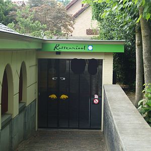 Entrance to the Rat Sewer, 2006-07-08