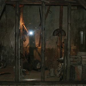 Barn owls in a barn exhibit, 2006-07-08