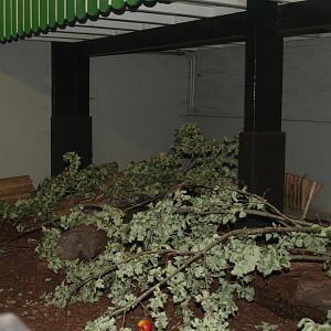 Domestic rabbit paddock in the petting zoo building, 2006-07-08