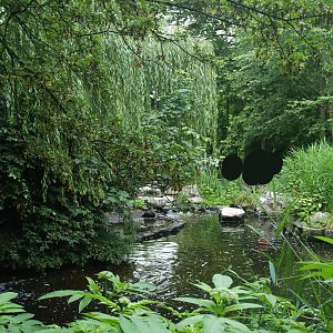 American bird garden, 2006-07-08
