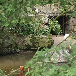 American bird garden - Access to indoor bird housing, 2006-07-08