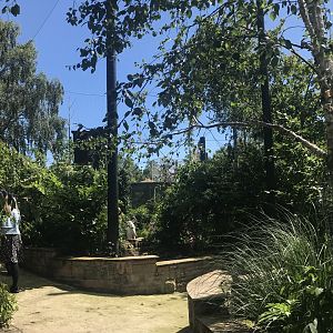 Birds of the world walkthrough aviary (3)