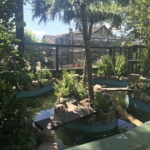 Birds of the world walkthrough aviary (5)