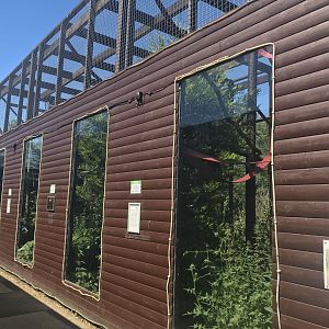 Black spider monkey enclosure