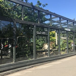 Fishing cat enclosure