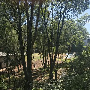 Brazilian tapir enclosure