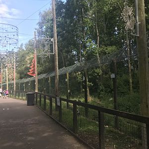 Arctic wolf enclosure