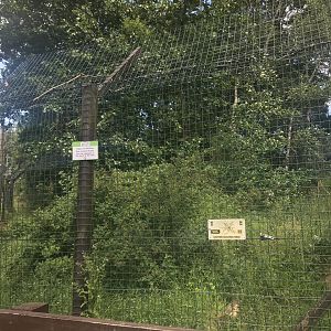 Arctic wolf enclosure (2)