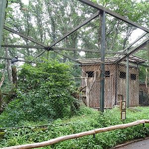 Enclosure for Andean condors (07/22)