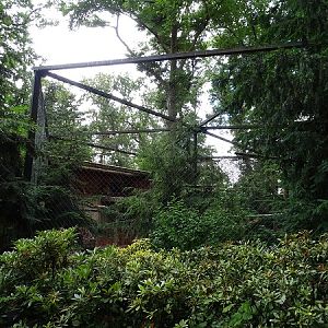 Enclosure for golden eagles (07/22)