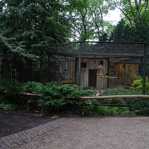 Enclosures for turkey vulture, black vulture and crested caracara (07/22)