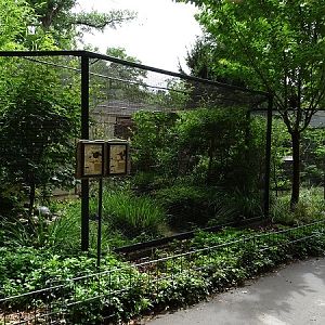 Aviary for grey peacock pheasant and buffy laughingthrush (07/22)