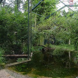 Enclosure for goliath herons (07/22)