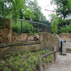Enclosure for Indian crested porcupines (07/22)