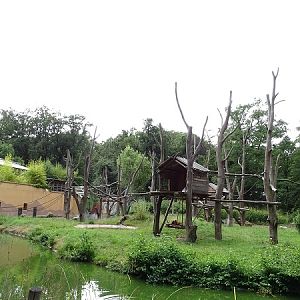 Enclosure for Sumatran orangutan and Malayan tapir (07/22)