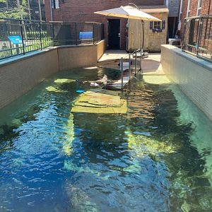 Seal Exhibit Overview