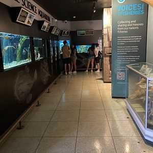 First Floor Corridor